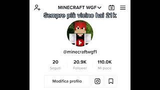 Quasi 21k follower su tik tok