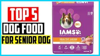 Best dog food for senior dogs in 2024