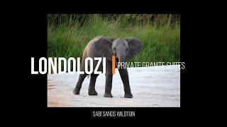 Londolozi Private Game Reserve Highlights