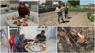 BAHÇEYE DAMLAMA SİSTEMİNİ KURDUK İLK TOHUMLARI EKTİM️AKŞAM MENÜMÜZ