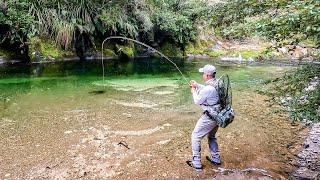 3-Day Fly Fishing Adventure into NZs Backcountry