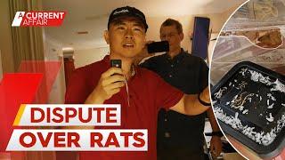 Rat-infested home sparks one of A Current Affairs longest confrontations  A Current Affair