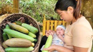 Harvest cucumbers to sell and build a farm