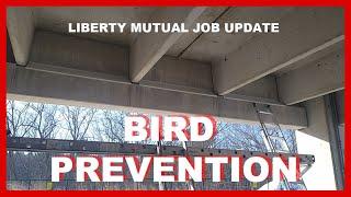 Liberty Mutual Dover NH Bird Prevention Update