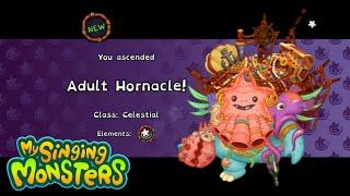 How to get Adult Hornacle - Celestial Island My Singing Monsters 4.1.2 MSM