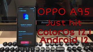 ColorOs 12.1 With Android 12 New Software Update OPPO A95 Official