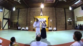 Suginami Aikikai San Francisco- nidan test Jan 9th 2016