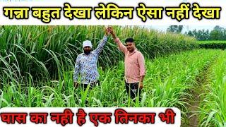 Trench Vidhi Se Ganne Ki KhetiTrench sugarcane FarmingSugarcane Trench MethodTrench Vidhi Ganna