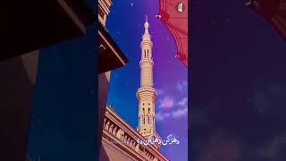 Short Video  Sarkar ﷺ Tawajju Farmain  Hafiz Tahir Qadri