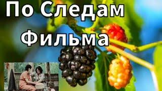 По Следам Известного Фильма 