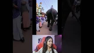 ആന അവന്റെ ബെൽ ലൈക്കൺ അടിച്ചു#brightfox #discord #troll #shorts #viral #reaction #funny #comedy #yt