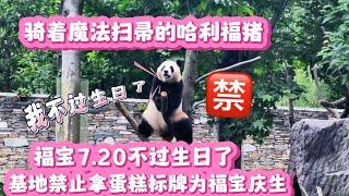 福寶7.20不過生日了，基地禁止拿蛋糕和標誌當福寶慶生，太過分了！