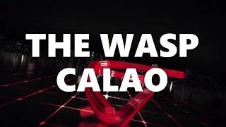 The Wasp - Calao House Hit Club Edition 2024  By The Wasp