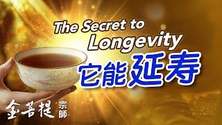 Drink a Cup Every Day and Gain Health Longevity and Wisdom  The Secret to Longevity