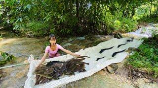 Girl catches fish with the worlds simplest devil slide harvests a lot of fish