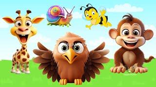 Wild Animal Sounds In Peaceful Eagle Monkey Giraffe Snail Bee  Music For Relax