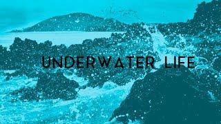 SOLD Keith Ape x Rich Chigga Type Beat - Underwater Life prod. by Benihana Boi