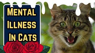 Can Cats Suffer From Mental Illness?