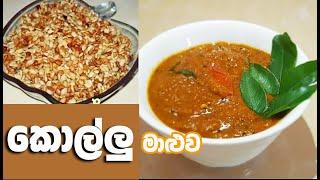 කොල්ලු මාළුව  Kollu curry #cooking #viral #easycooking