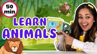 Learn Animals For Kids  Animal Songs Old MacDonald 5 Little Monkeys  Toddler Learning Videos