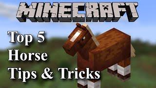 Minecraft Top 5  Horse Tips and Tricks