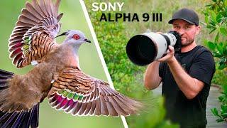 Birds In FLIGHT With 120 FPS CRAZY Results  Sony A9 III In Action