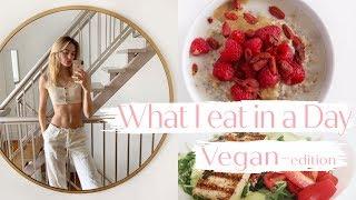 Vegan What I Eat in a Day as a Model  Healthy Simple Recipes That Are Good For You  Sanne Vloet