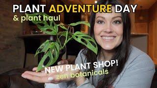 Variegated Monstera Adonsonii New Plant Shop - Plant Shopping For Indoor Plants & Plant Haul