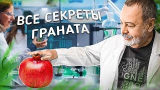 ВСЕ СЕКРЕТЫ ГРАНАТА Железо в гранате польза граната как употреблять Гранат в онкологии