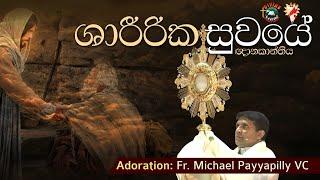 Physical Healing Retreat 2023  Adoration Fr Michael Payyapilly VC  English - Sinhala  DRCColombo