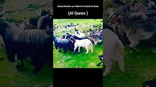 फरिश्ता ने लिया नबी का इम्तेहान  Hazrat Ibrahim A S aur Farishta Ka Waqia #translation#quran#shorts