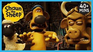 Shaun the Sheep  Full Episodes  The Bull Picnics Memories Film Night + MORE  Cartoons for Kids
