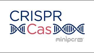 CRISPRCas gene therapy webinar