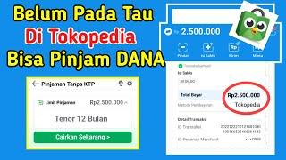 Cara Pinjam Saldo DANA & Uang di Tokopedia Mudah Cair  Pinjaman Online Tokopedia