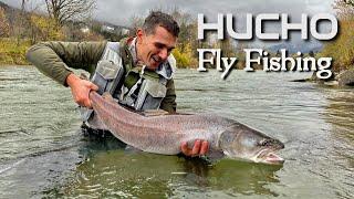 Hucho Fly Fishing  A big hucho on first cast  Time to celebrate 