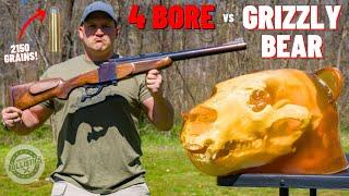 4 BORE Rifle vs Grizzly Bear  The Biggest Rifle Ever 