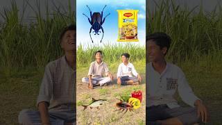 Eating Parle g biscuits burger lolipop icecream vs bee insects chilli eggs funny video 