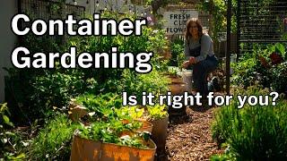 CONTAINER GARDENING PROS & CONS Maximize Benefits + Understand Challenges