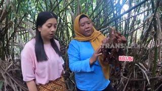 Masak Sambal Kelubi  ENAH BIKIN ENAK 170924