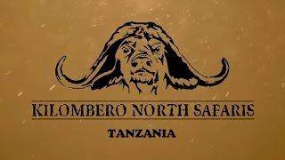 KILOMBERO NORTH SAFARIS - Tanzania