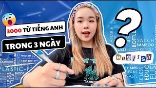 Thử sức học HÀNG NGÀN TỪ VỰNG TIẾNG ANH trong 3 NGÀY  Bí kíp học từ vựng chuẩn