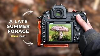 September Mushroom Photography Foraging with a Nikon D850