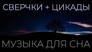 Сверчки Цикады для сна Расслабляющая музыка. 8 часов