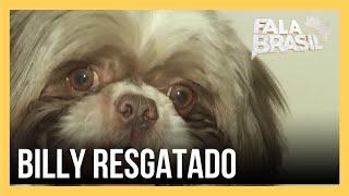 Reencontro cachorro furtado é devolvido à tutora em São Paulo