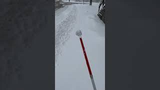 How different style cane  tips do in deep fresh snow #blind #OrientationAndMobility #snow