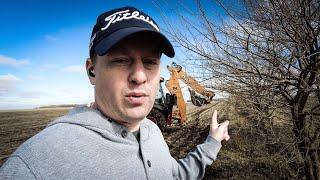 Farm Style Landscaping In The Fence Lines  Shed Update