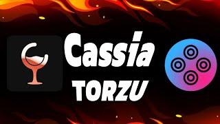 When Comes Cassia Emulator For Android? Torzu Emualtor For Android? Explain