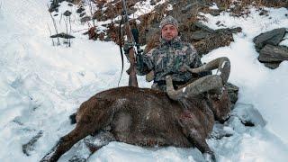 ГОРНАЯ ОХОТА НА ДАГЕСТАНСКОГО ТУРА. Dagestan Tur and Caucasian chamois