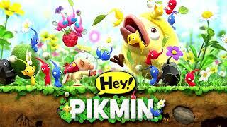 VS. Berserk Leech Hydroe Winged Form - Hey Pikmin OST