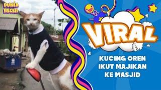 RECEHNYAA KUCING OREN INI SELALU IKUT MAJIKANNYA PERGI KE MASJID